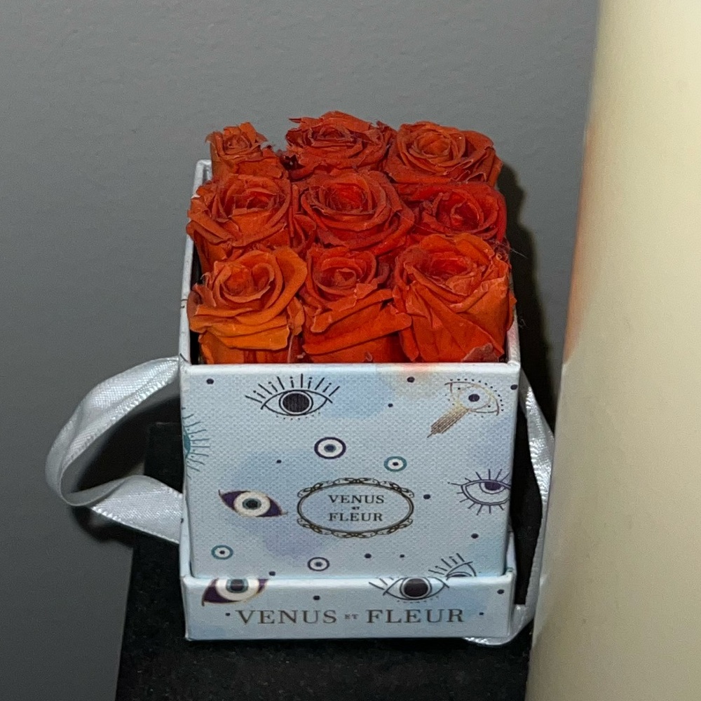 Venus Et Fleur Small